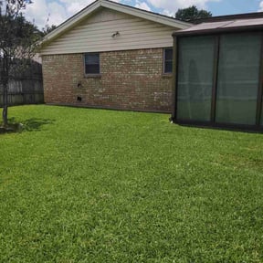 yard maintenance by Mo Mowing &amp; Yard Clean Up reviewed on December 6, 2025