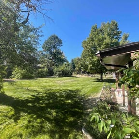 landscaping services by SOLID LANDSCAPING reviewed on December 4, 2025