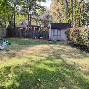 Leaf Removal by Moreno&#039;s Lawn Care reviewed on September 22, 2025