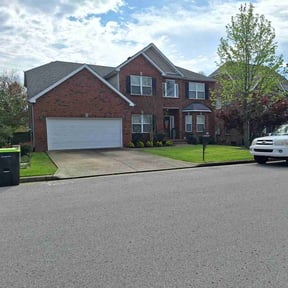 yard work by Green Elite reviewed on August 18, 2025