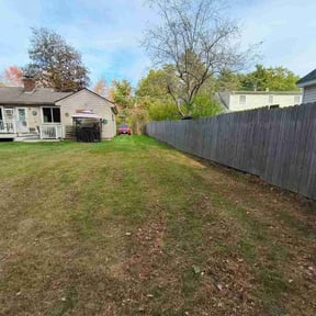 Leaf Removal by The Green Guy Lawn Care reviewed on November 7, 2025