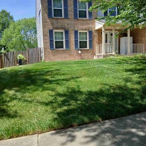 landscaping services by Universal lawnscaping reviewed on August 18, 2025