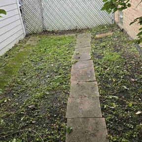 Leaf Removal by Trip reviewed on August 17, 2025