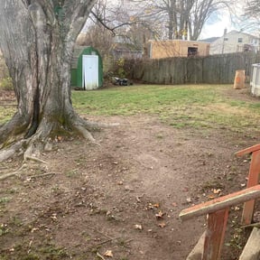 Leaf Removal by The Thomas Firm LLC. reviewed on November 19, 2025