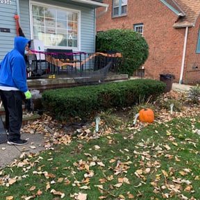 Bush Trimming by Jose Martinez landscape services reviewed on August 17, 2025