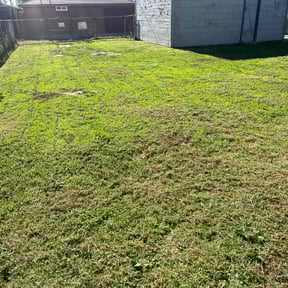 lawn care services by Neckbrakering details LLC reviewed on April 12, 2024