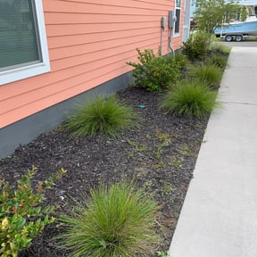 Flower Bed Weeding by Property Maintenance reviewed on August 16, 2025