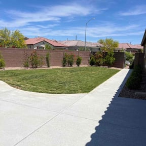 turf maintenance by All purpose landscaping LLC reviewed on June 30, 2025