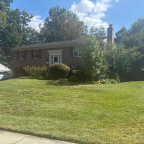 Bush Trimming by Thomas's Lawn Care reviewed on October 5, 2021