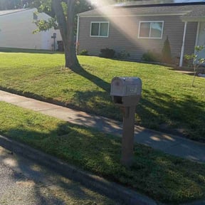 grass cutting by Foehsers Lawn Care reviewed on August 17, 2025