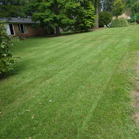 landscaping services by Jerrel's Handyman & Lawn Service LLC reviewed on August 15, 2025