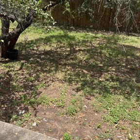 Leaf Removal by Felicianos Lawn Maintenance LLC reviewed on March 29, 2024