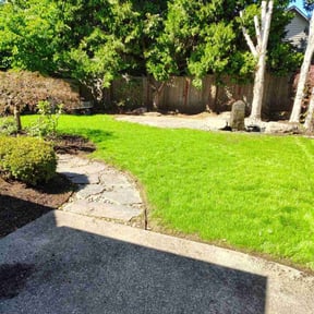 landscaping services by The Green Op reviewed on April 23, 2024