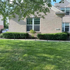 Cleanups by Landscaping Gomez reviewed on August 17, 2025