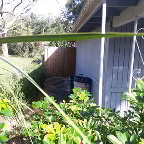 Leaf Removal by BSM &amp; Co. Landscaping reviewed on October 11, 2023