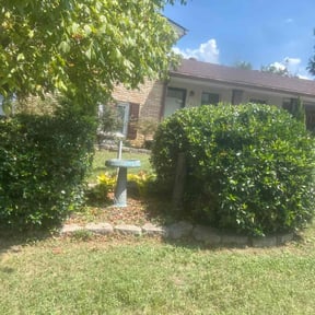 Bush Trimming by Sprouts Landscaping reviewed on November 22, 2025