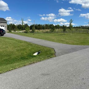 landscaping services by Quality landscaping reviewed on November 24, 2025