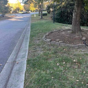 Leaf Removal by Commerce Development Partnership LLC reviewed on November 21, 2025