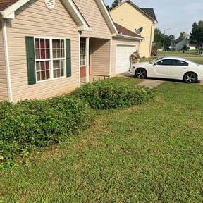 Bush Trimming by Ron's lawn care reviewed on August 15, 2025