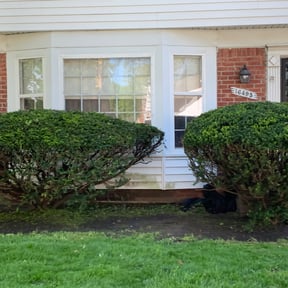 Bush Trimming by Cameron Lawn Care reviewed on August 14, 2025
