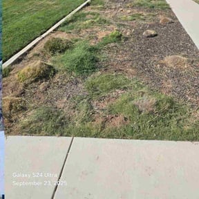 Bush Trimming by Moore lawn care reviewed on August 30, 2021