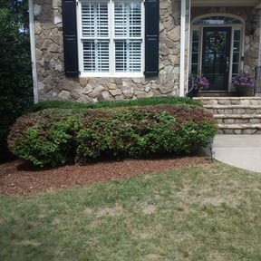 Bush Trimming by LAWN CARE AND DELIVERY SERVICES LLC reviewed on August 13, 2025