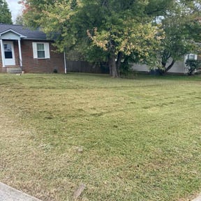 turf maintenance by Pro Lawn Cut reviewed on November 9, 2017