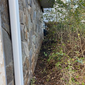 Leaf Removal by Holy City Lawns reviewed on September 6, 2025