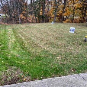 Leaf Removal by Christopher and Samantha Lawn Care reviewed on November 7, 2025