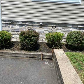 Bush Trimming by Newmans Elite Lawn Care reviewed on August 15, 2026