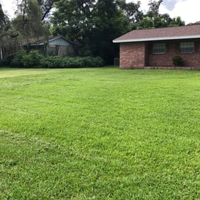 gardening service by Morel Lawn & tree service reviewed on August 16, 2025
