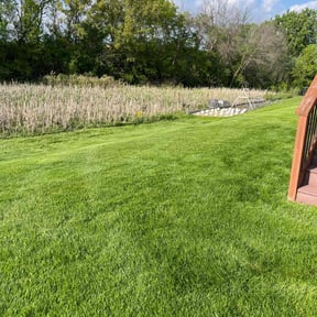 yard service by Jacob Lea reviewed on December 11, 2025