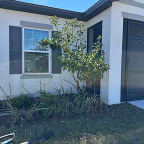 Bush Trimming by J'S Lawn Care reviewed on February 24, 2026