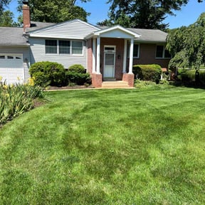 residential landscaping by AP Landscapers reviewed on November 23, 2025