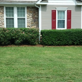 Bush Trimming by J &amp;M Service reviewed on July 22, 2023