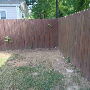 Leaf Removal by Leonardo castro reviewed on August 16, 2026