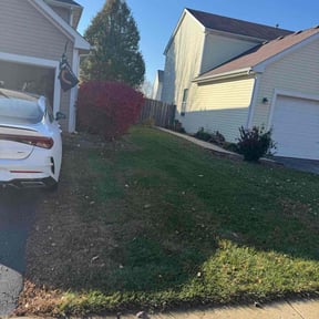 Leaf Removal by AMAZING GRAZERS reviewed on November 20, 2025