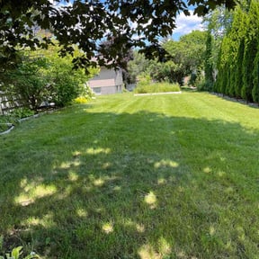 yard work by General Hendley reviewed on August 18, 2025
