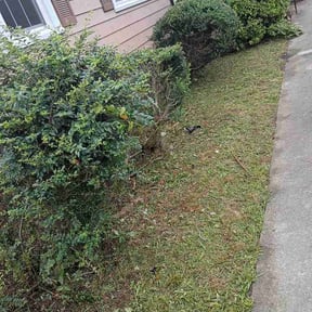 Flower Bed Weeding by Libertos landscaping junk removal reviewed on July 30, 2026