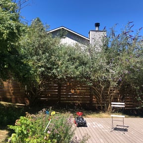 Bush Trimming by DeBaun Lawn Care reviewed on August 18, 2025