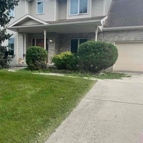 Weed Pulling by Alfaro’s Lawncare reviewed on July 29, 2022