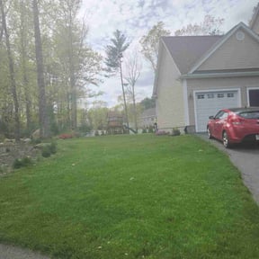 turf maintenance by Pro grow landscapeing reviewed on April 23, 2024