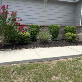 Bush Trimming by David's Landscaping reviewed on November 9, 2017