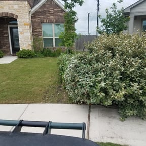 Bush Trimming by Paul Norman Services reviewed on August 15, 2025