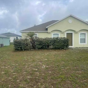 Bush Trimming by SLD Affordable Lawn and Contracting Services reviewed on May 21, 2026