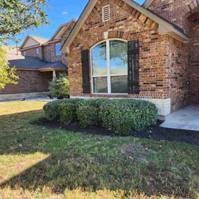 Bush Trimming by Contreras Outdoors reviewed on November 20, 2025