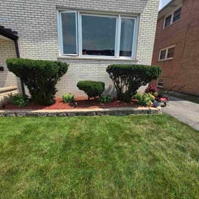 Bush Trimming by On time securing inc. reviewed on April 28, 2024