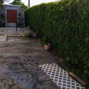 Bush Trimming by Lawn Cutting reviewed on August 19, 2025