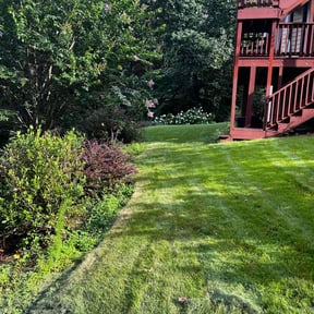 grass cutting by Luxury Finish Lawn care reviewed on August 20, 2025