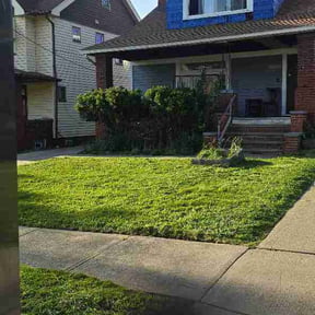 Bush Trimming by Landyns Lawncare reviewed on May 15, 2026